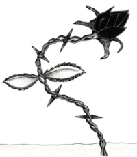 200px-Tribal_rose.png Photo by midnights_angel