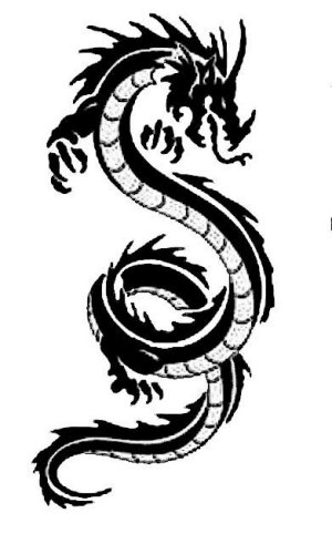 Dragon Magick Course - Destroy Evil & Heal the Earth - Aziz Shamanism
