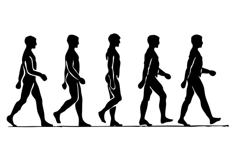 Improve your Walking Program with Feldenkrais® Fitness | Blog for ...