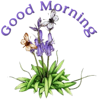 Good morning Graphics and Animated Gifs. Good morning
