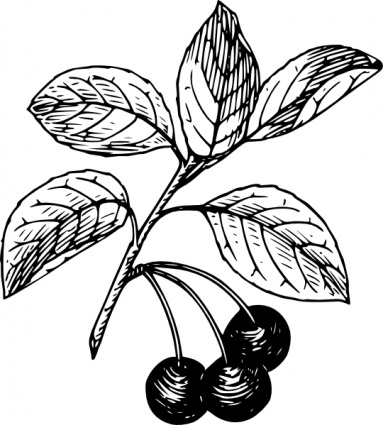Download Cherry clip art Vector Free