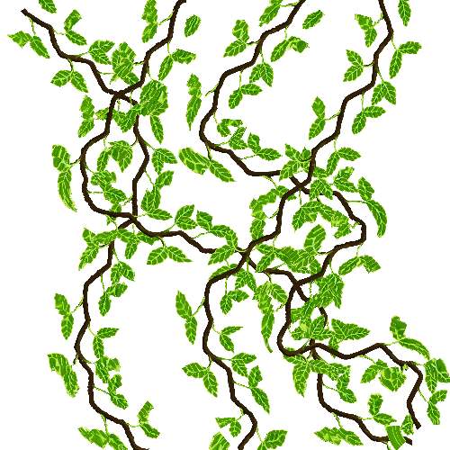 Jungle Vine Clipart