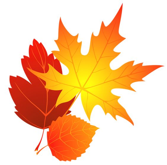 Fall, Leaves and Fall leaves