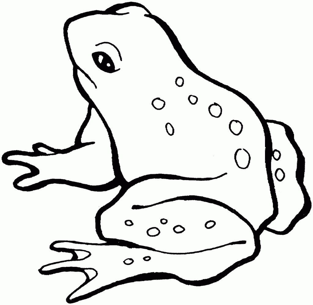 Frog Outline