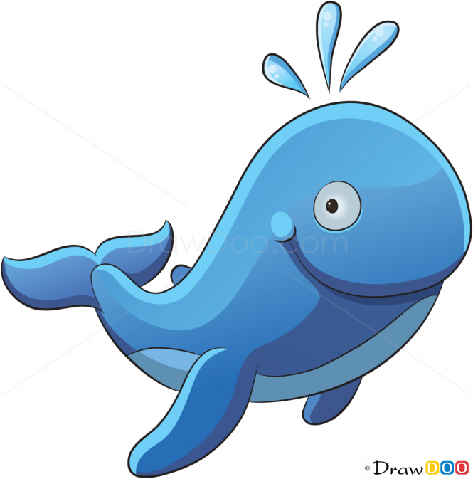 img.php?src=http://drawdoo.com/wp-content/uploads/tutorials/SeaAnimals/lesson24/step_10.png&w=665&h=&zc=1&q=60&a=t