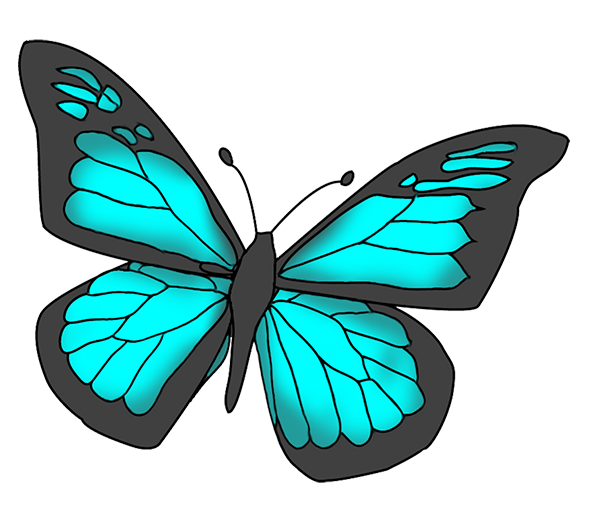 Beautiful butterfly images