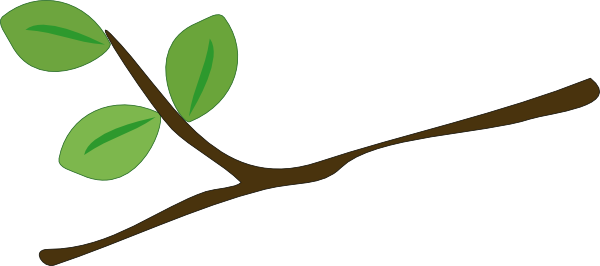 Cartoon Tree With Branches - ClipArt Best
