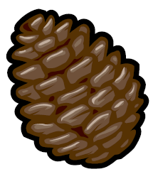 Cartoon Pine Cone - ClipArt Best
