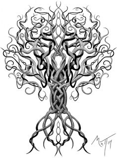 Tree drawings, Drawings and Drawings of trees