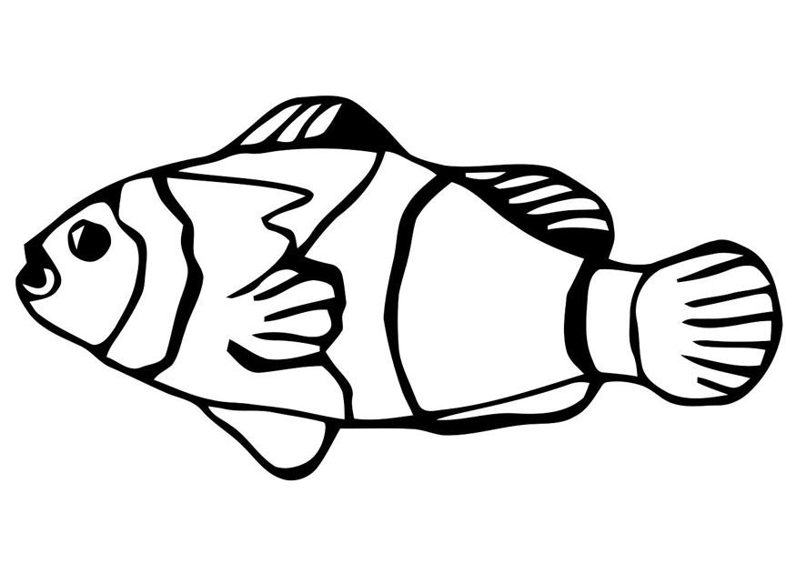Goldfish Coloring Page - AZ Coloring Pages