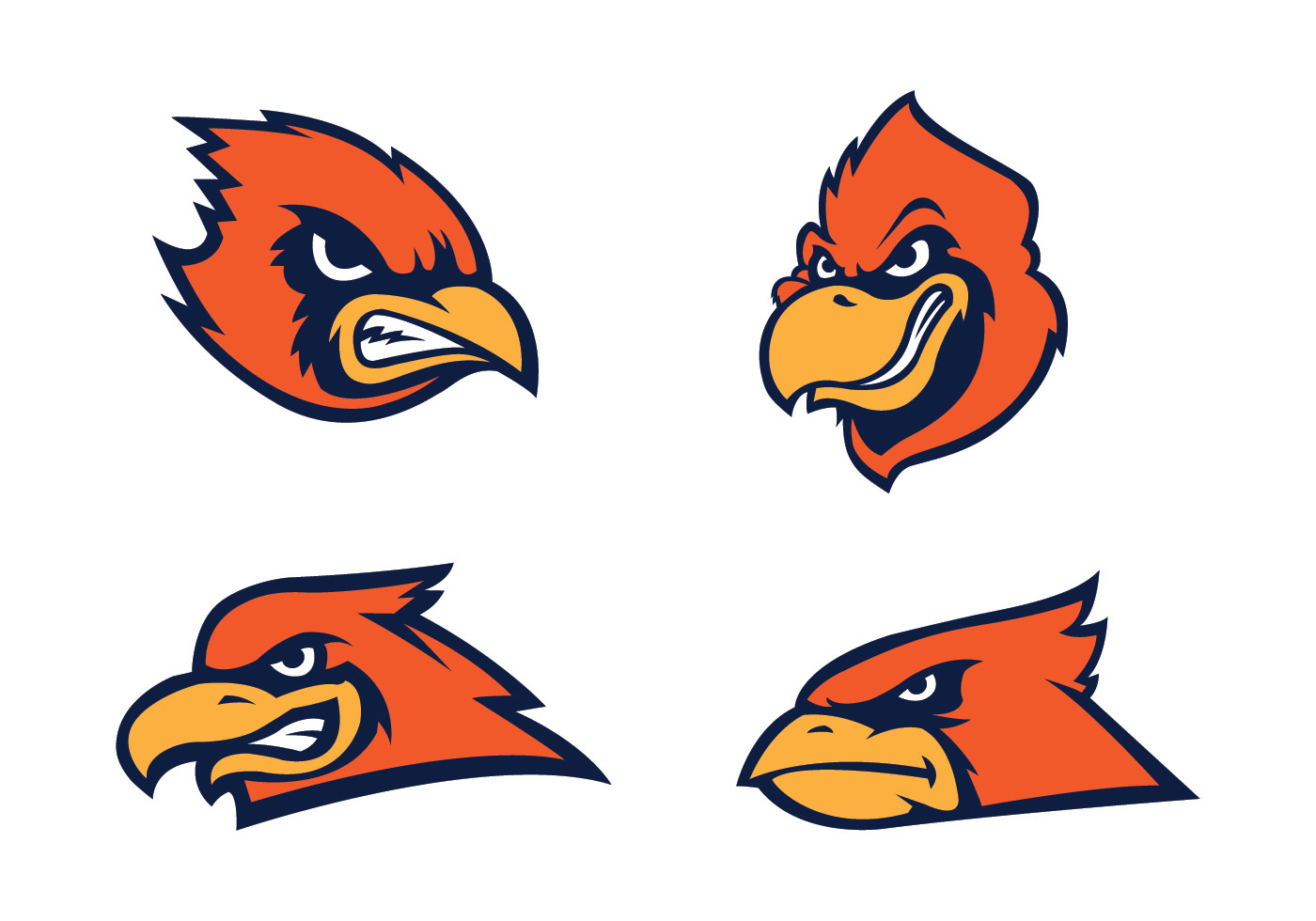 Cardinal Free Vector Art - (1864 Free Downloads)