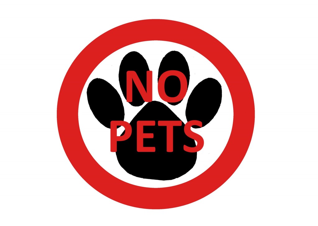 Is Your Pet In Danger of Displacement? | Janet Roper