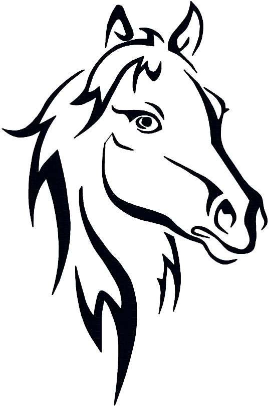 Horse farms, Farm animals and Horses