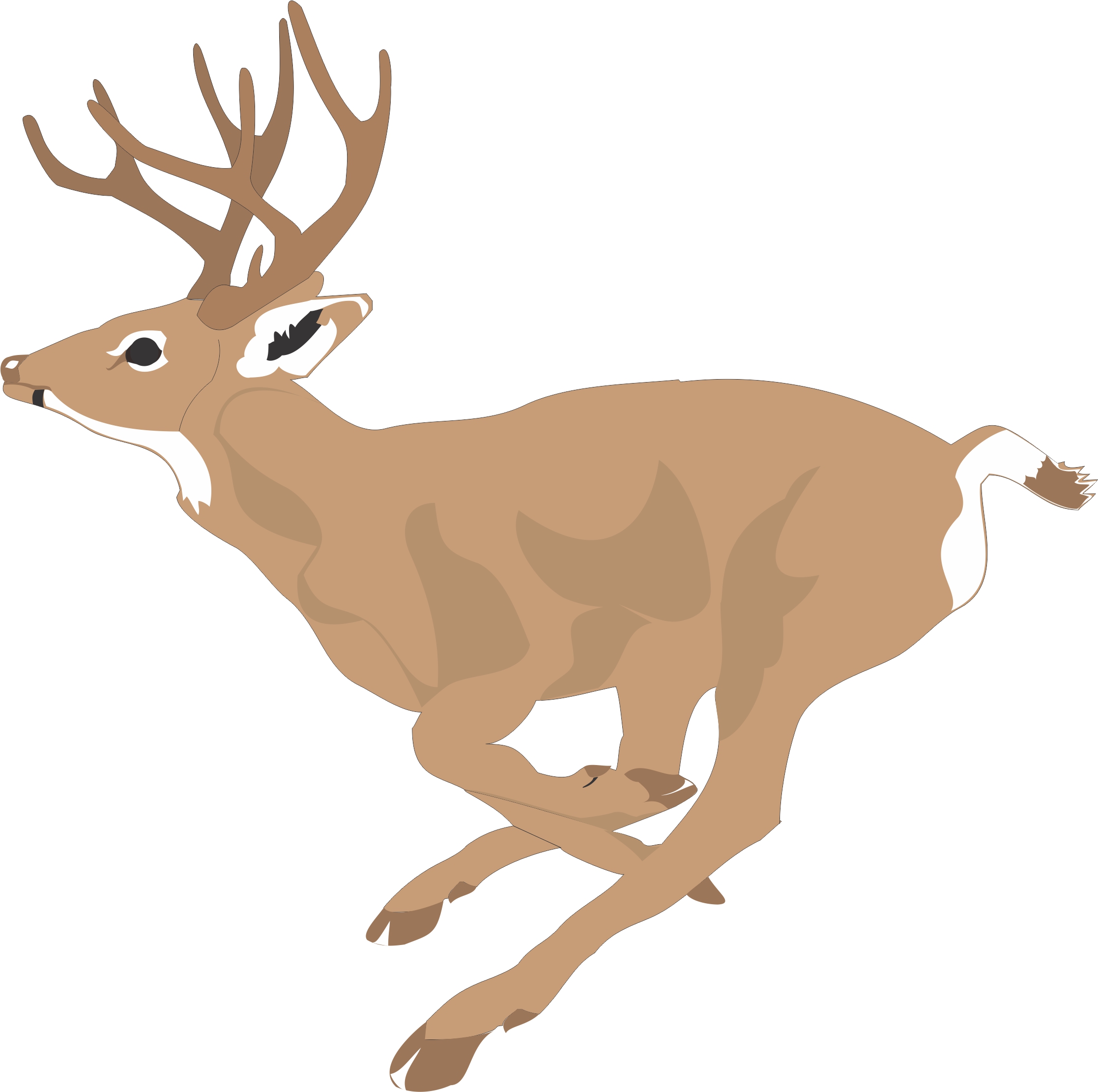 Cartoon Deer Head Images | Images Guru