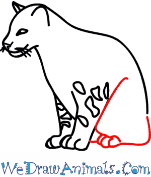 How to Draw a Clouded Leopard