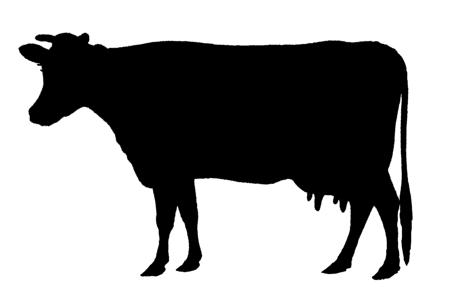Animal Silhouettes