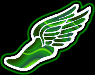 Manteca High Track Blog