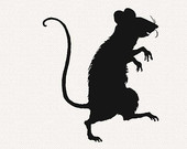 il_170x135.531640649_byx7.jpg