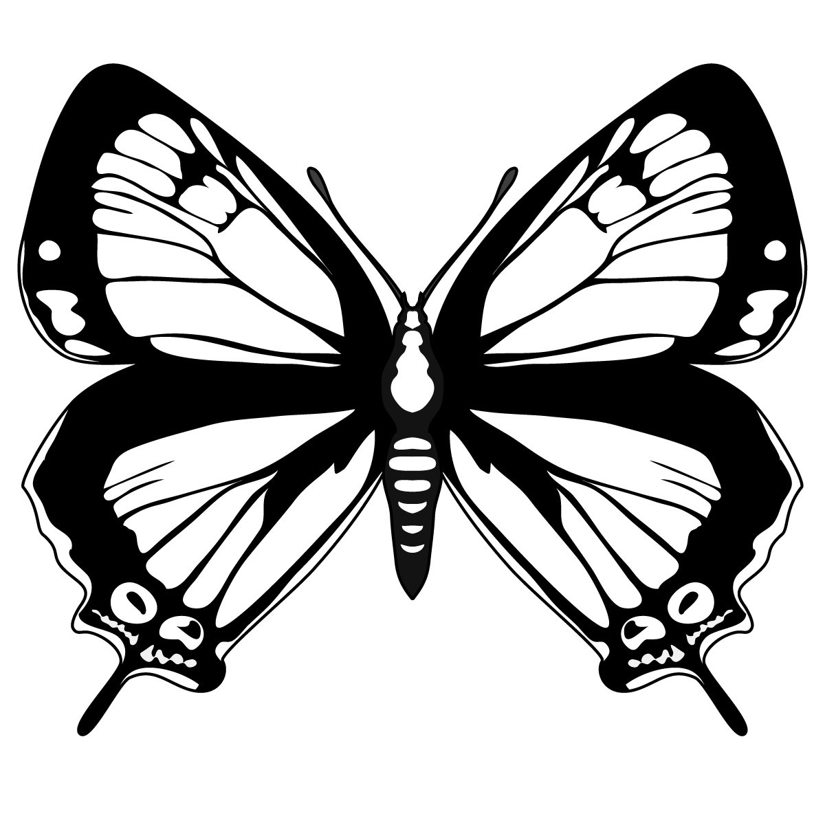 Butterfly Clip Art Black And White Outline