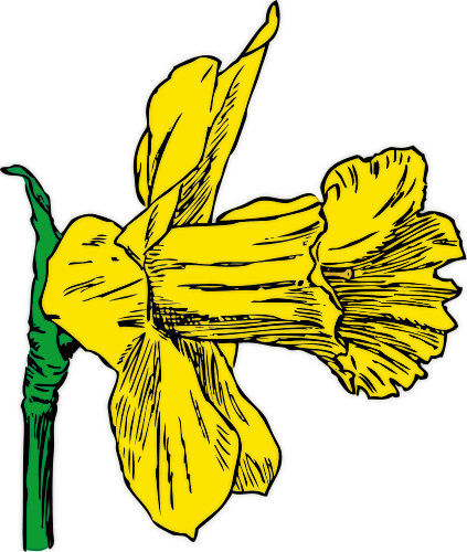 Free Daffodil Clipart - Public Domain Flower clip art, images and ...