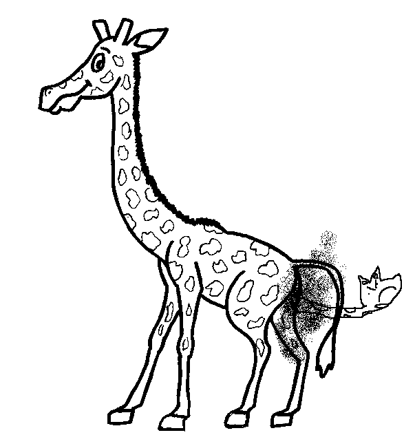 Why Giraffes Are Not Real
