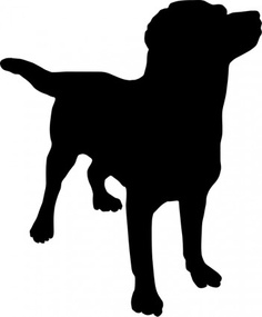 Silhouette Cameo