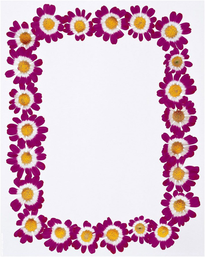 Spring stationery, spring border paper, kids spring activities