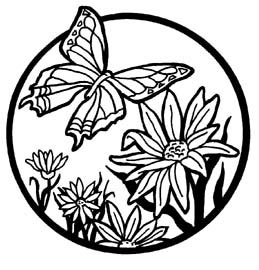 Add Colors to Butterfly | Color Management