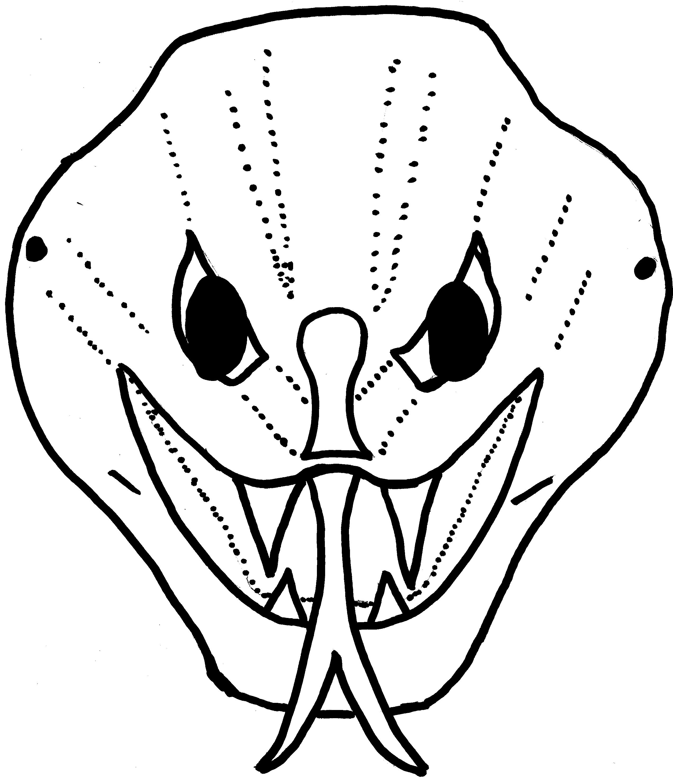 Printable Snake Pictures