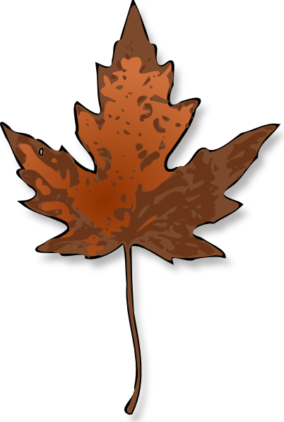 Maple Leaf clip art Free Vector