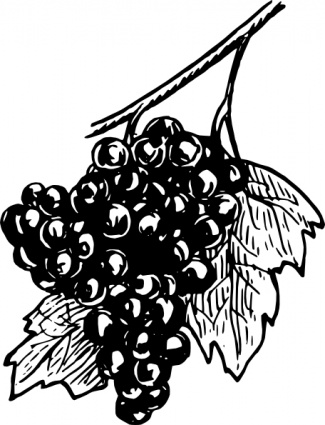 Grapes clip art vector, free vector graphics