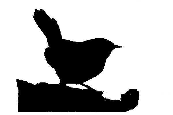 Spanish bird silhouettes » Birding In Spain Blog