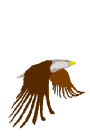 Our Clubs & Other Things We Do... / Soaring Eagles