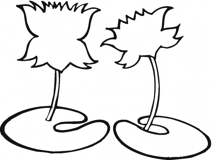 Lotus outline coloring page | Super Coloring