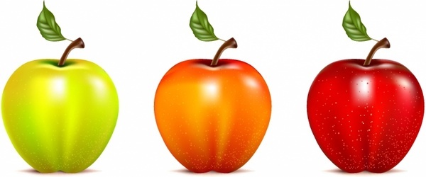 Apple vector free vector download (874 Free vector) for commercial ...