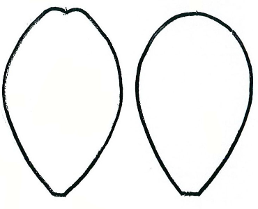 Petal Outline | Free Download Clip Art | Free Clip Art | on ...