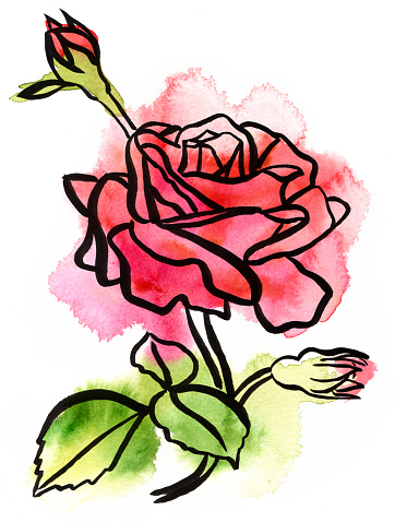 Happy Birthday With Rose Drawing - ClipArt Best