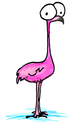 Flamingo Cartoon Clipart