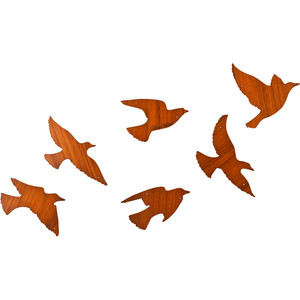 Birds1 - Polyvore