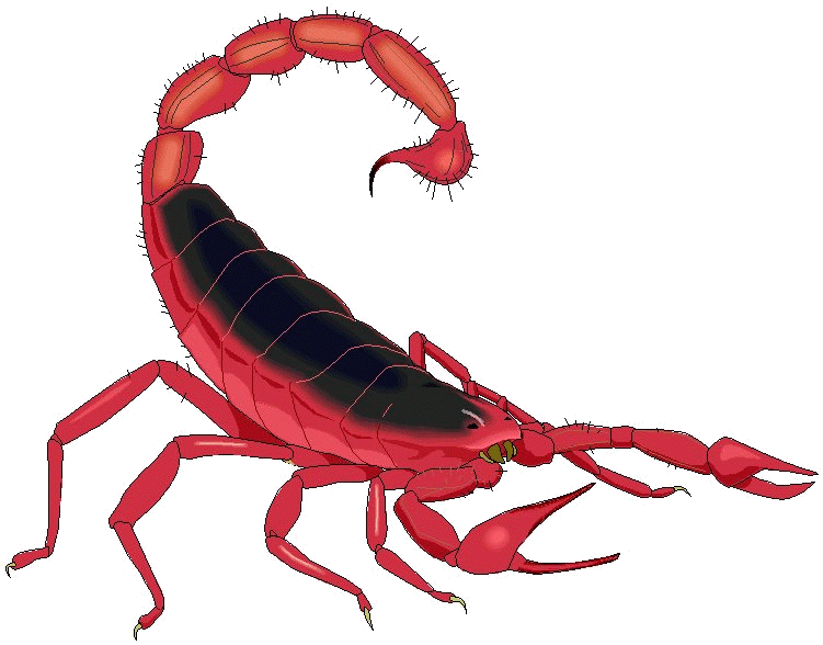 The Earthlife Web - The Scorpion Page