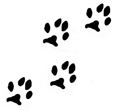 Footsteps
