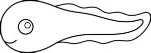 Tadpole With Legs Coloring Page | Coloring Pages