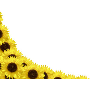 Sunflower Corner Border Clipart