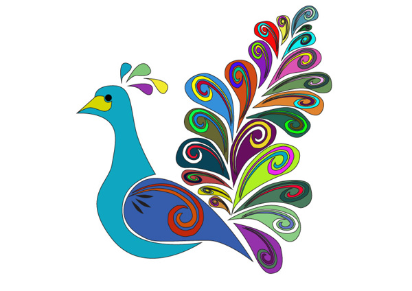 Colourful Peacock Drawings