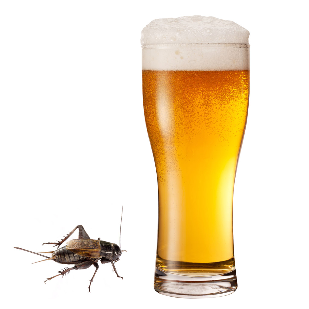 5 Strange Ingredients Turning Up in West Coast Beer | FWx