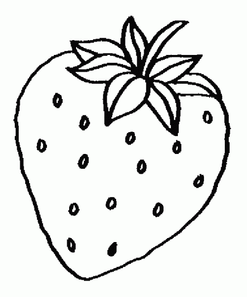 1000+ images about Fruits