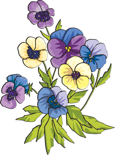 Pansy Border Clipart
