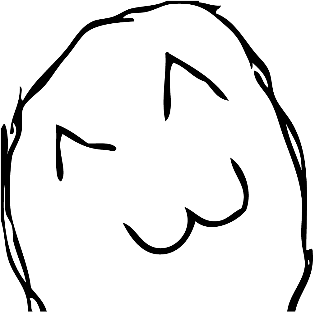 1000+ images about Rage Faces