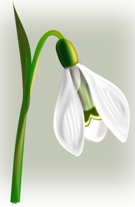 Snow Drop clip art clip arts, clip art - ClipartLogo.com