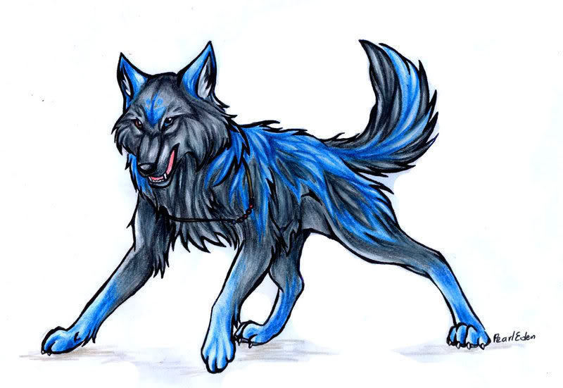 Blue Wolf With Wings 86998 | DFILES